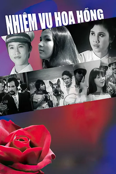 Nhiệm Vụ Hoa Hồng