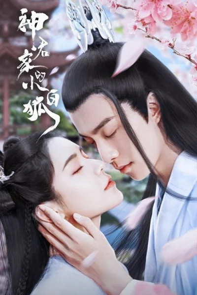 Tiểu Bạch Hồ Truy Phu